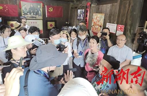 中外媒体湖南行 记录乡村振兴新画卷