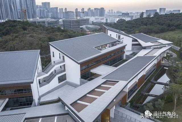 抱歉！校园设计成这样，根本不能称为大学