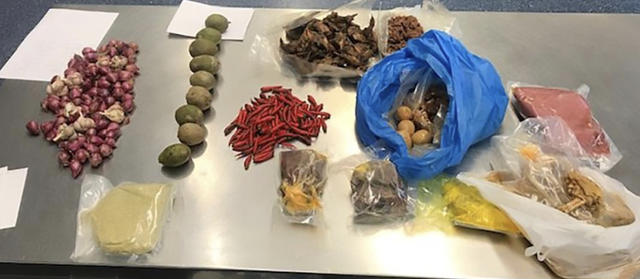 澳洲机场频现“天价”快餐！一份最普通麦当劳2664澳币