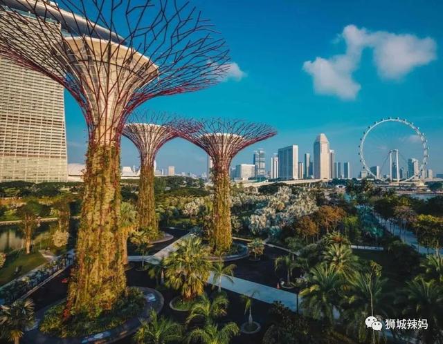 1000个新加坡人给出57个热爱新加坡的理由，哪一个最打动你？