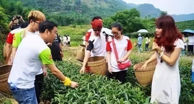如何使用消费金融模式卖茶叶，1场会议卖出500万？索寂魁研究院