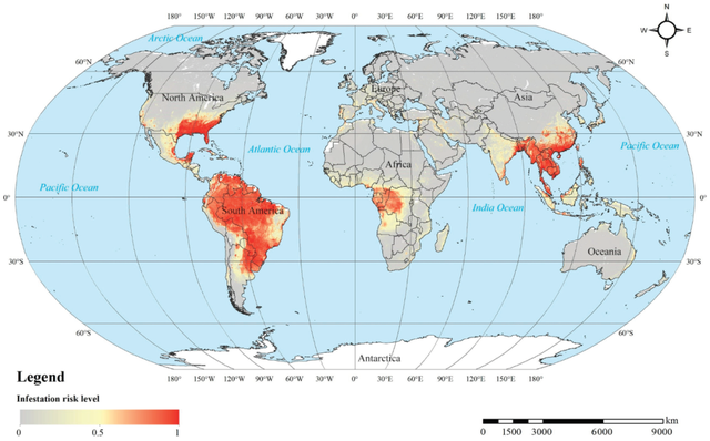 隐藏的危机，地表最恐怖的入侵物种是谁？