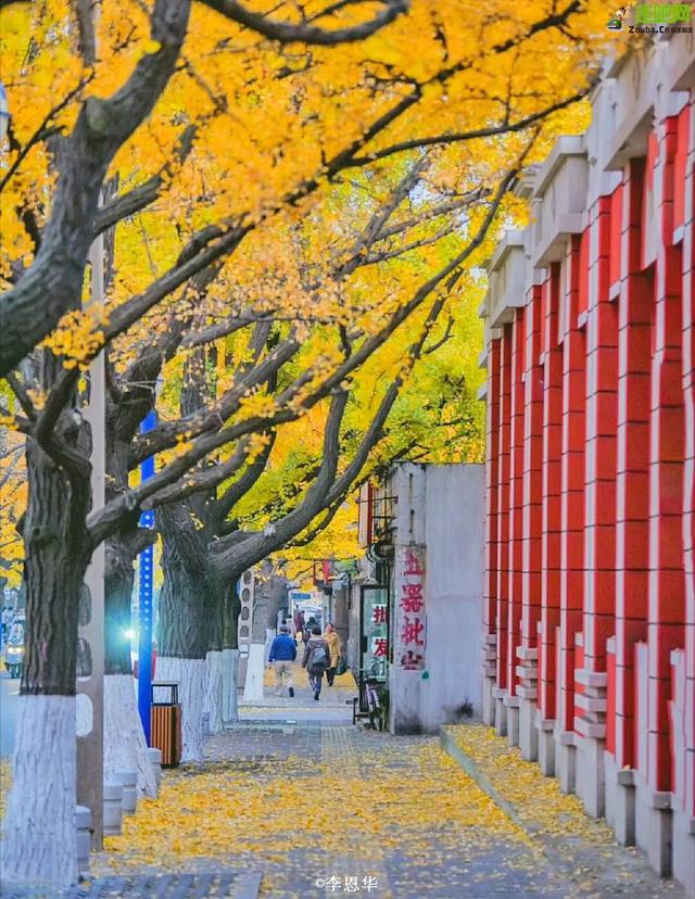 中国最大的边境城市，十大养老胜地之一，9月将迎来最美早秋