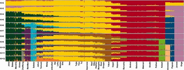 马来西亚原住民的遗传学研究