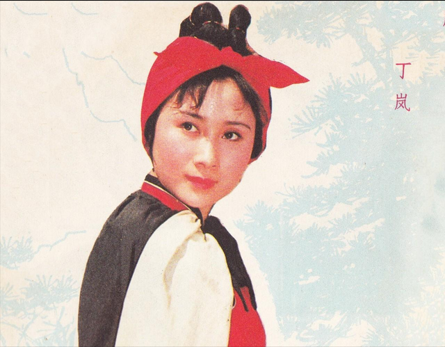 从红极一时到“销声匿迹”，“牧羊女”丁岚经历了什么？