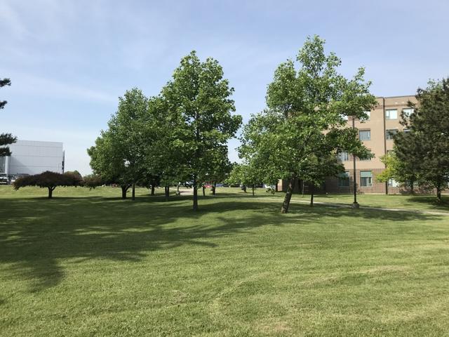 新加坡文科研究生专业