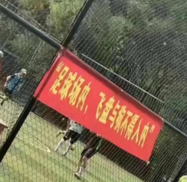 一线城市的快乐，我感受不到