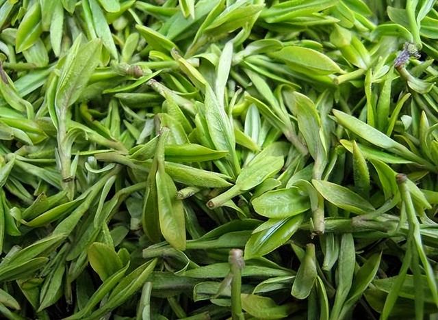 新加坡可以寄茶叶吗？茶叶怎么集运新加坡｜茶叶集运有什么要求？