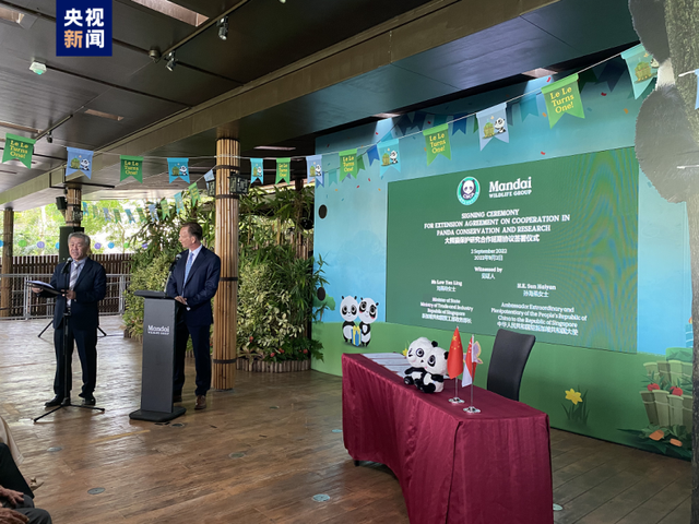 国宝海外续住！中国与新加坡签署大熊猫保护研究合作延期协议