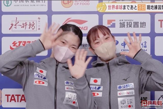 张本智和是好哥哥，想把成都世乒赛熊猫玩偶送给妹妹，日本队开练