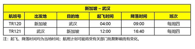 武汉往返新加坡客运航线下月恢复