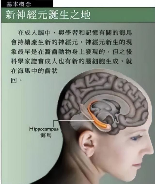 脑科学专家：发展孩子大脑最好的三个方法，运动、阅读和游戏