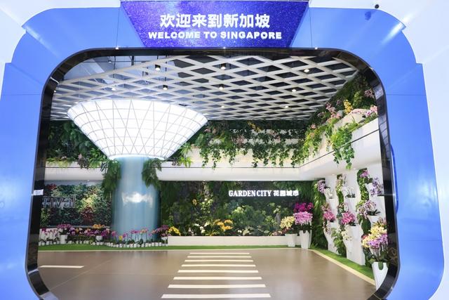 围观！中国—东盟特色商品汇聚中心日本馆、新加坡馆开馆啦