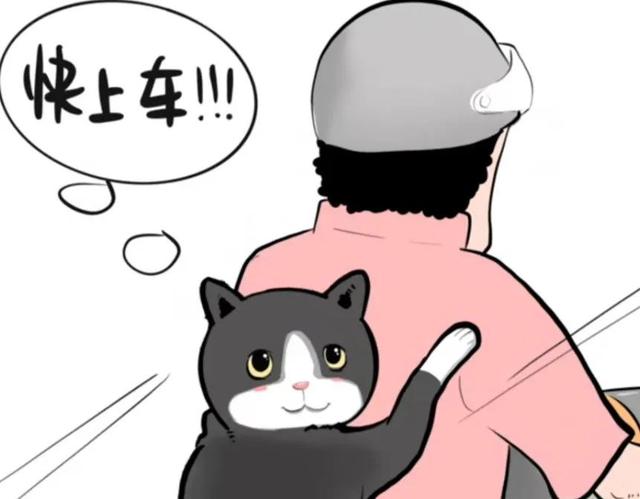 你不知道的冷知识