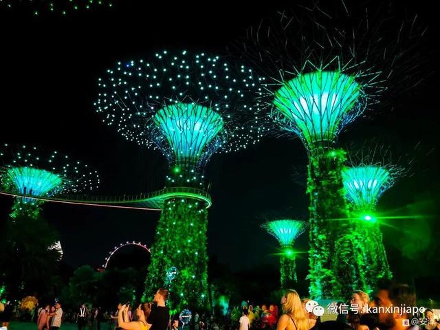 浪漫梦幻的滨海湾花园灯光秀，你去看了吗？