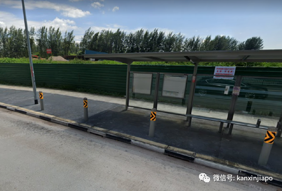 终身监禁+鞭刑！新加坡一男子持刀捅死夜跑路人只因自己摔倒