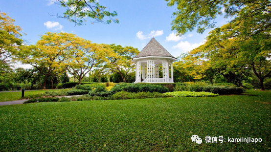 新加坡前总统长子因在植物园附近的私宅起诉弟媳