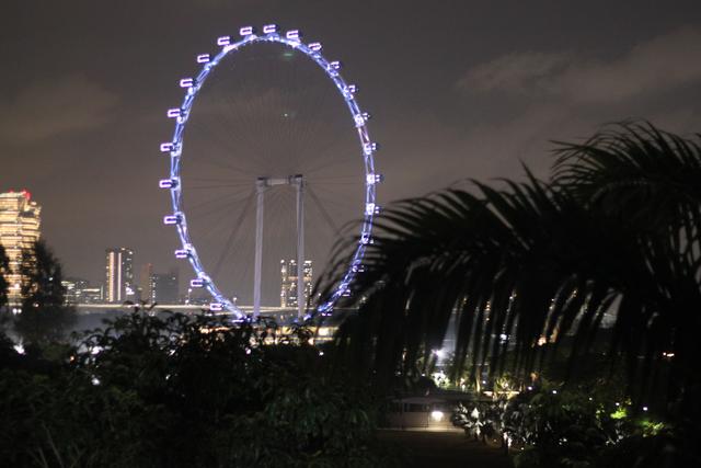 新加坡成立后，为什么采用英语为第一官方语言而不是汉语