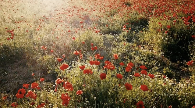 27岁「做作」女星再度爆红，意外暴露了中国式原生家庭的悲剧真相