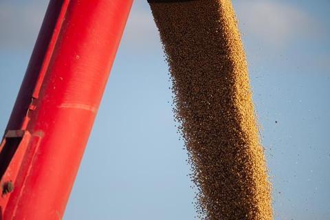 新加坡媒体：阿根廷大豆“降价出货”，中企订购300万吨