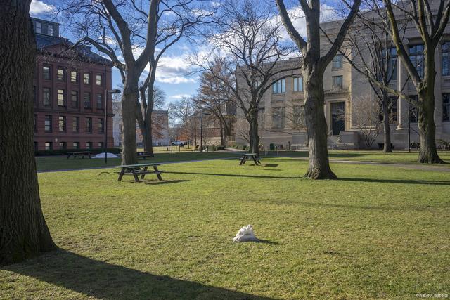 哈佛大学尼曼研究员董郁玉：我为何要送儿子去美国读大学？