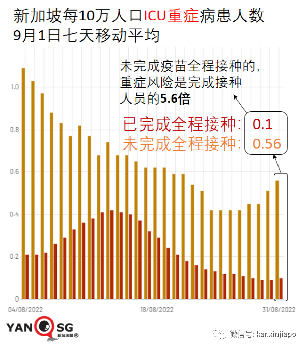 疫不过三，专家称世卫或在明年宣布新冠疫情结束