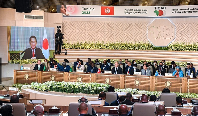 视点｜日本宣布今后三年在非洲投入300亿美元，口惠而实不至效果令人质疑