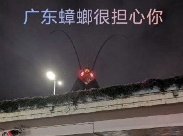 日本最新科研成果，蟑螂成精了