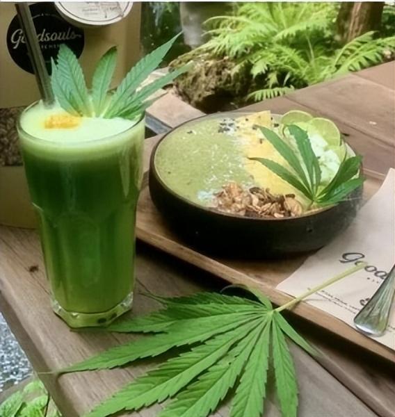 新加坡小姐姐哭诉：在泰国旅游“被迫”吃大麻