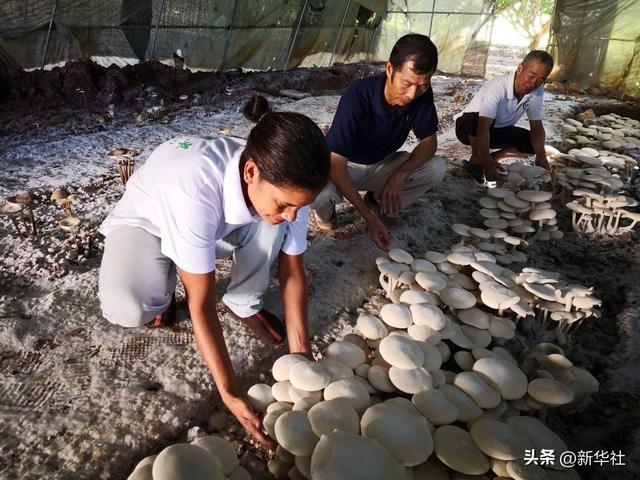 命运与共行大道——习近平外交思想推动人类发展进步潮流