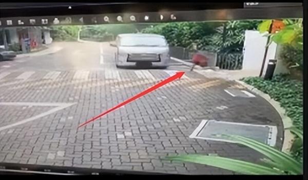 新加坡男孩突然快速冲出路口，天眼记录下被撞的骇人的瞬间