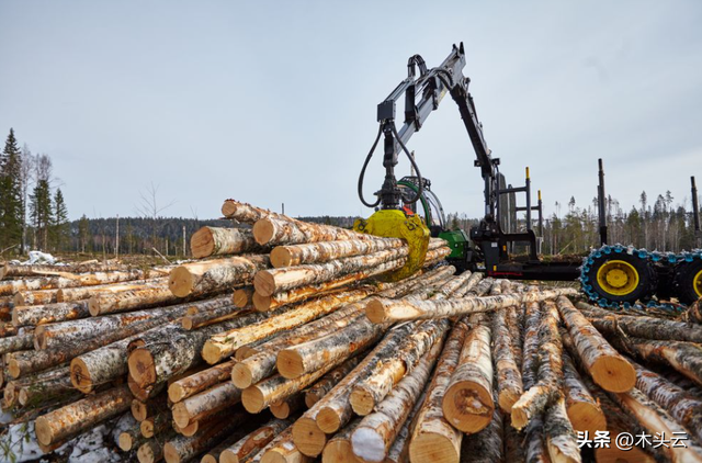 马来西亚联合泰国共同建立木材贸易标准
