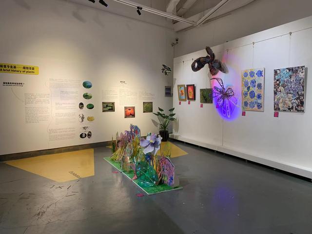 孩童眼中的植物什么样？这个展览以艺术与科普相结合的方式作答