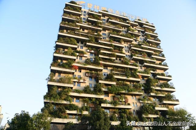 碧桂园森林城市 怎么变成了"鬼城"