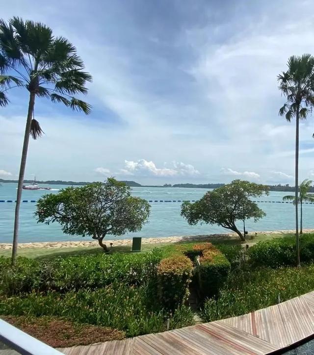 35岁阿月从新加坡到美国：翻译圆了大学梦，为绿卡嫁老外