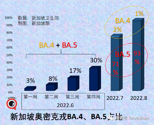 奥密克戎BA.5已成新加坡主流病毒，感染者占新增病例的93%