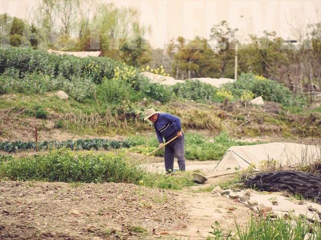 那些难以置信的真实故事