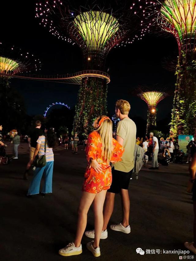 浪漫梦幻的滨海湾花园灯光秀，你去看了吗？