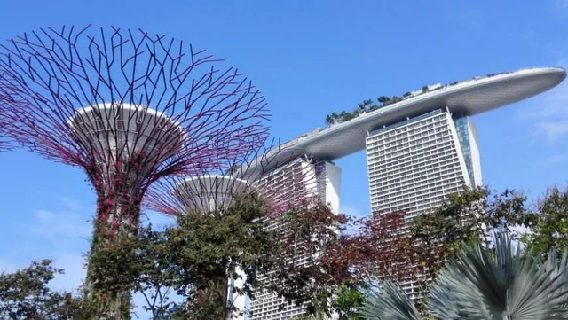 滨水休闲产业全球考察之旅（十一）新加坡滨海湾花园的新颖创意