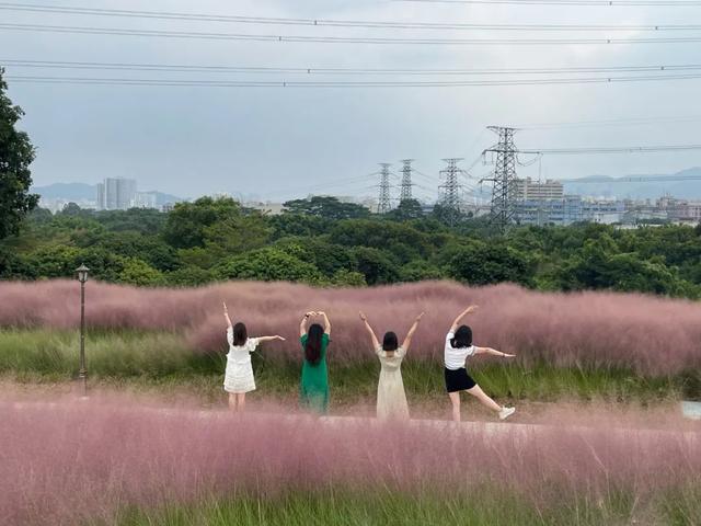 9月，谢谢你们送来的秋天