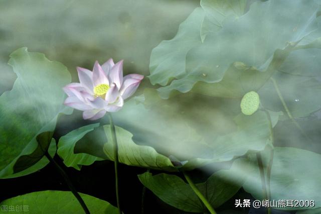 “距离产生美？”——记面试中见过的那些“如雷贯耳”的大公司