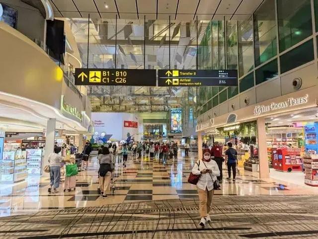 踩雷！他入境新加坡因携带价值2万多新币现金被抓！这些入境禁忌