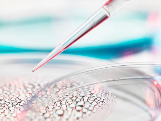 拜登签署新行政命令“扩大美国生物制造”再引国内CXO板块跳水 反复风险“预演”或倒逼产业发展