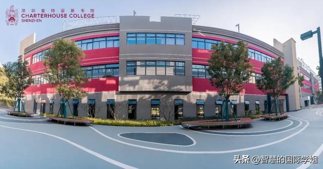 离谱！深圳某国际学校竟无牌办学1年？开学就转校？会有反转吗？