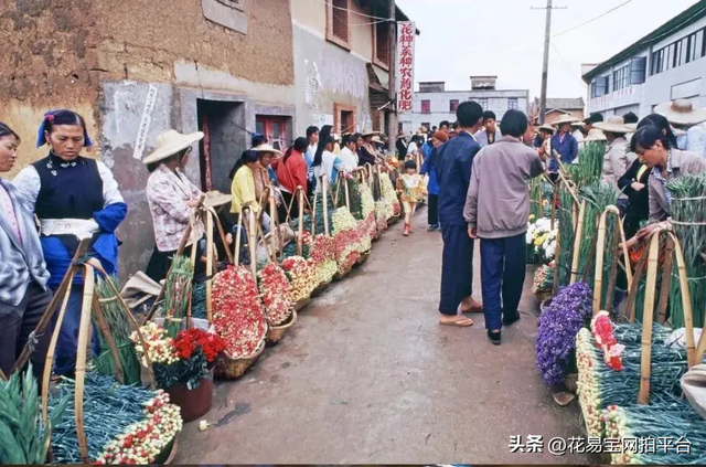 云南鲜花赢麻啦！花企不是全国最多但却是全球第二的鲜花交易中心