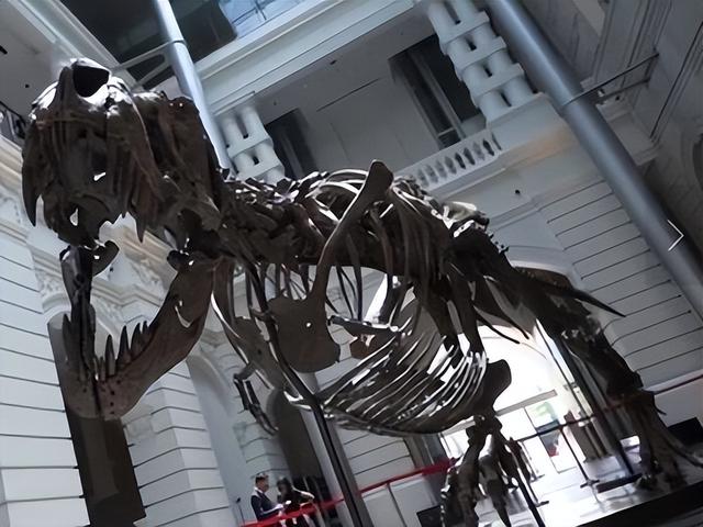《侏罗纪世界》中“尚神”暴龙来新加坡拍卖，估值两亿长啥样？
