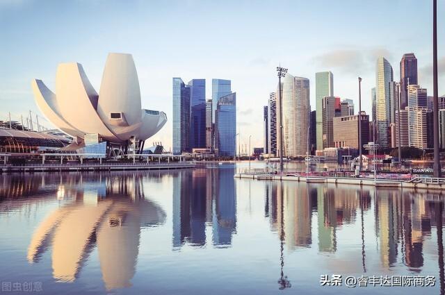 注册新加坡公司，后续有什么需要维护的？