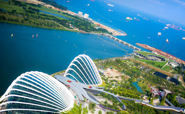 3个月赚两百亿！国内“呼吸机大王”，已成新加坡首富？