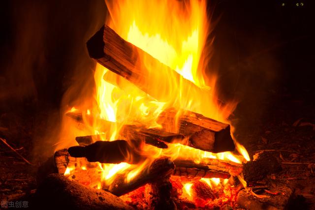 柴火热销！欧洲与日本，原因大不同