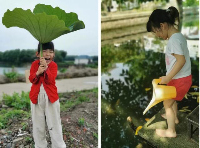 有魔力的村庄！为何高知青年都愿在这里抱团生活？